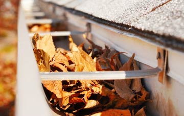 Ascreavie gutter cleaning companies
