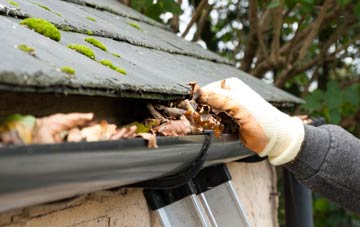 gutter cleaning Ascreavie, Angus