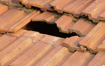 roof repair Ascreavie, Angus